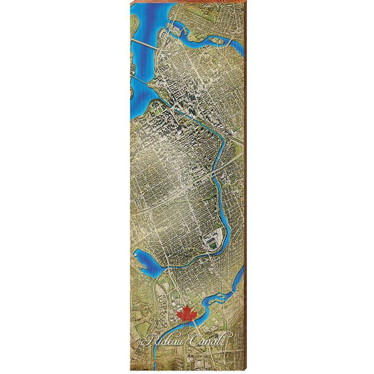 Rideau Canal, Canada Satellite Map Wall Art | Wall Art Print on Real Wood