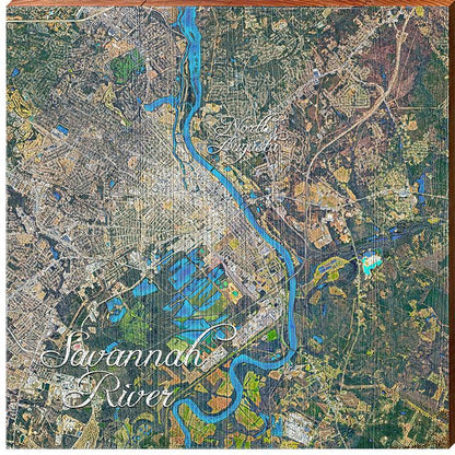 Savannah River, Georgia Satellite Map | Wall Art Print on Real Wood