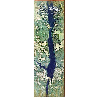 Lake Talisi, Alabama Satellite Map Wall Art | Wall Art Print on Real Wood