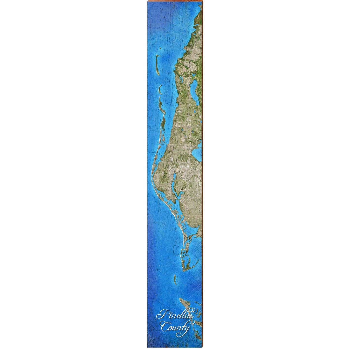 Pinellas County, Florida Satellite Styled Map Large Wall Art | Wall Art Print on Real Wood