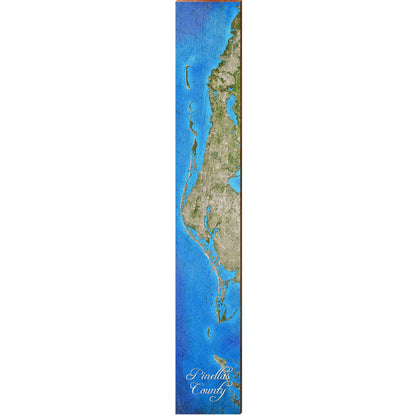 Pinellas County, Florida Satellite Styled Map Large Wall Art | Wall Art Print on Real Wood