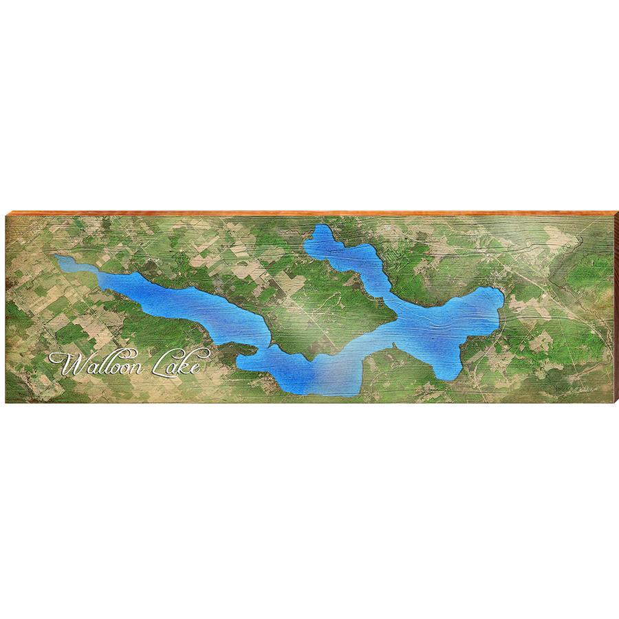 Walloon Lake Horizontal Map Home Decor Art Print on Real Wood