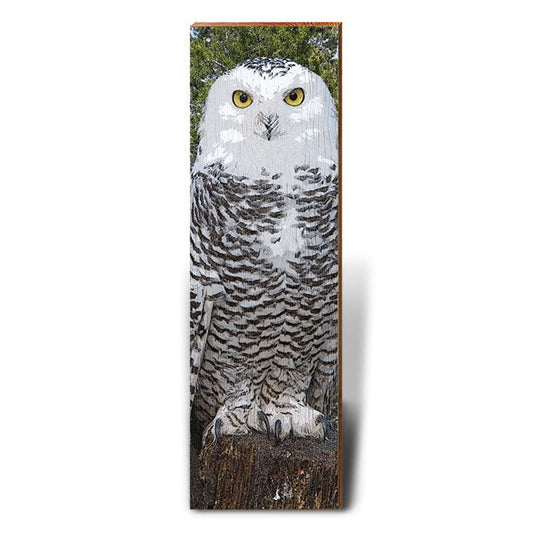 Horned Owl | Wall Art Print on Real Wood