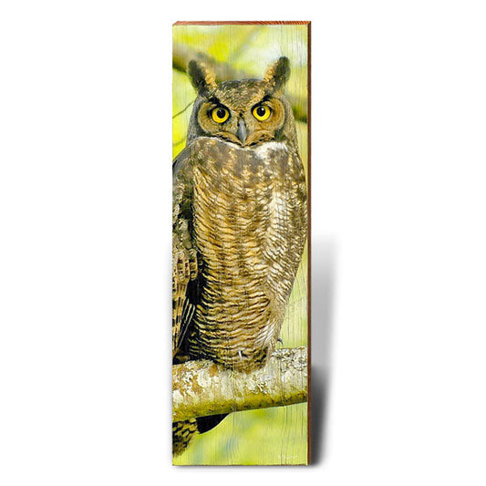 Horned Owl Perch | Wall Art Print on Real Wood