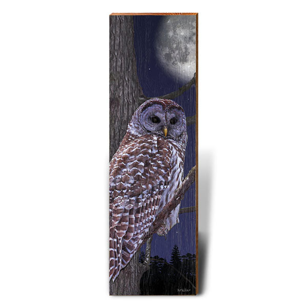 Owl's Night Watch | Wall Art Print on Real Wood