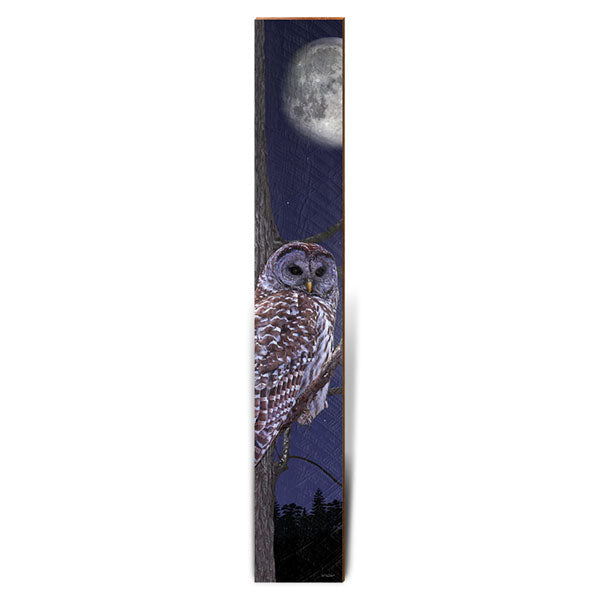 Owl's Night Watch Large | Wall Art Print on Real Wood