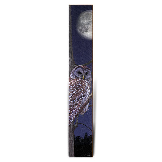 Owl's Night Watch Large | Wall Art Print on Real Wood