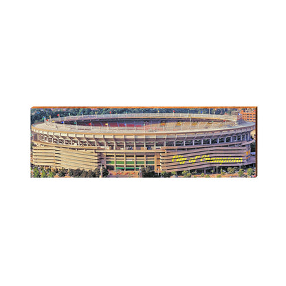 Three Rivers Stadium | City of Champions | Pittsburgh | Wall Art Print on Real Wood