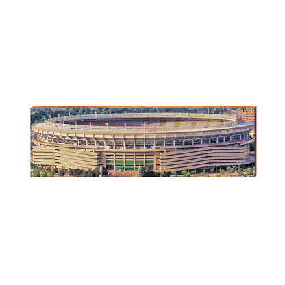 Three Rivers Stadium | Pittsburgh | Wall Art Print on Real Wood