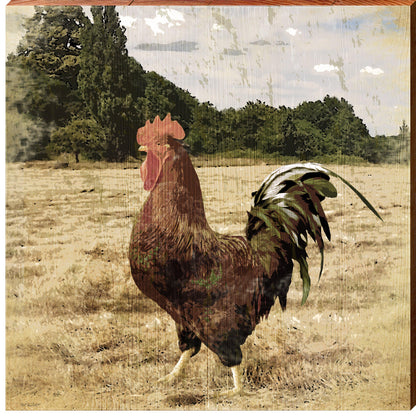 Rooster on the Farm | Wall Art Print on Real Wood