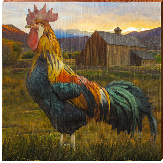 Rooster Sunset | Wall Art Print on Real Wood