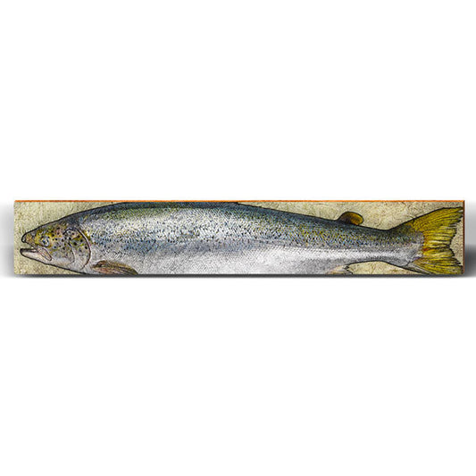 Coho Salmon Rustic Large | Wall Art Print on Real Wood