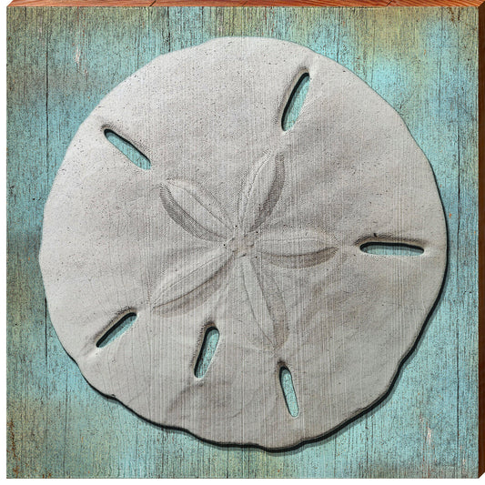 Sweet Sand Dollar Blue | Wall Art Print on Real Wood