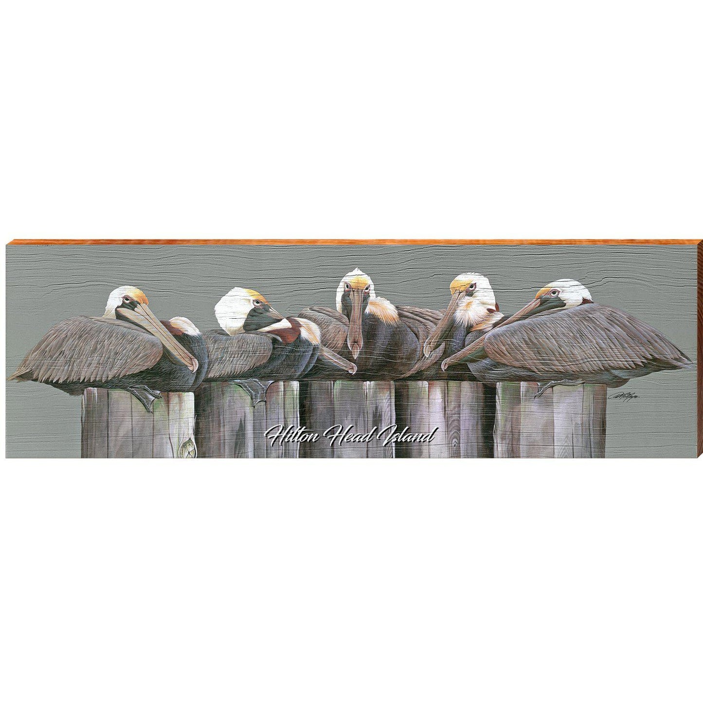 Hilton Head Island Art Lamay's Pelicans on Pilings   | Wall Art Print on Real Wood