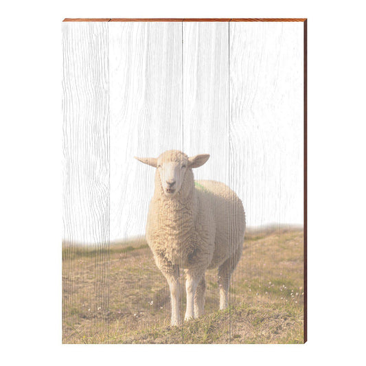 Bohemian Sheep | Wall Art Print on Real Wood