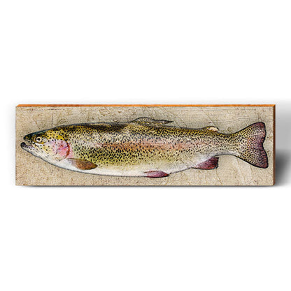 Rainbow Trout | Wall Art Print on Real Wood – Mill Wood Art Wholesale