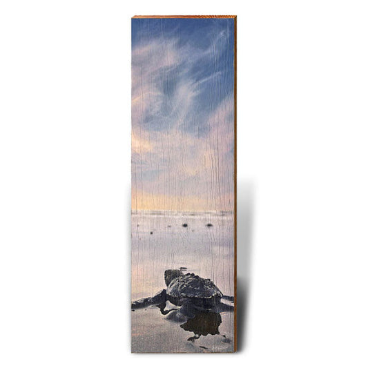 Baby Sea Turtle's Adventure | Wall Art Print on Real Wood